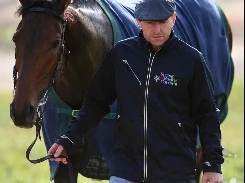 English horse Marmelo is the new Melbourne Cup favourite to gie jokcey Hugh Bowman his first win. marmelo