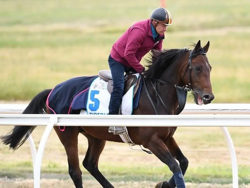 Champion jockey Olivier Peslier will break new ground when he rides Tiberian in the Melbourne Cup. Tiberian during track work at Werribee Racecourse