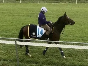 Williams gathers inside info on Cup mount