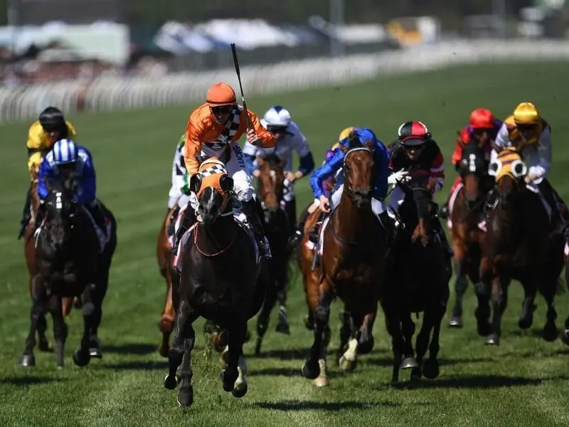 Favourite Ace High has won the $1.5 million Victoria Derby for South African trainer David Payne. Tye Angland reacts riding Ace High (fourth from left) to victory.