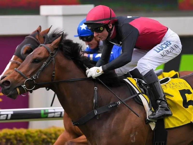 Scott Galloway will again ride Brooklyn Storm at Doomben, seven days after their win at the track. galloway