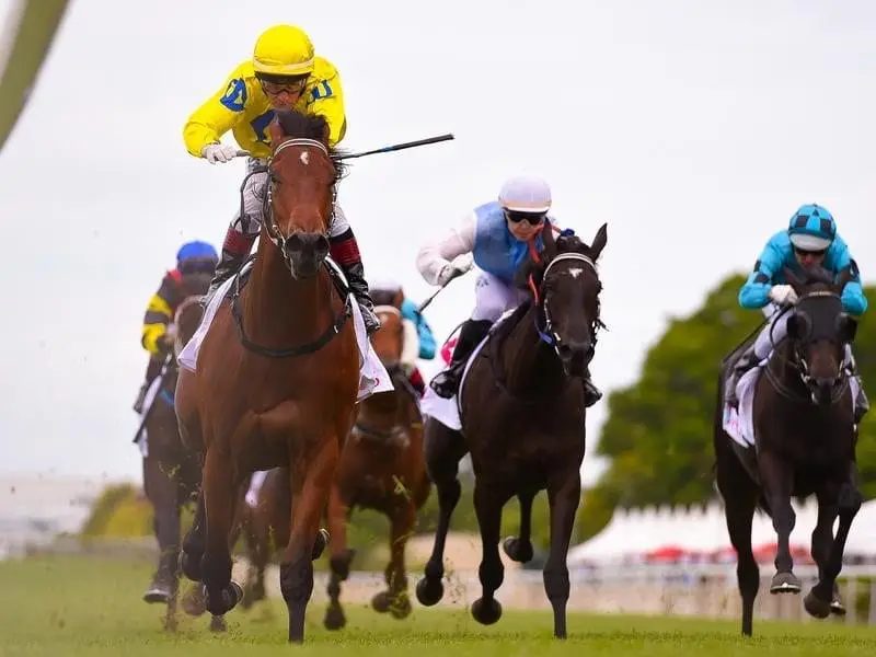 Blue Book, with premier jockey Jeff Lloyd aboard, has won easily in the two-year-old at Doomben. Blue Book wins at Doomben