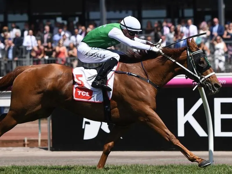 Tasmanian gelding Hellova Street has led all the way to win a Group Three race on VRC Oaks day. Brenton Avdulla rides Hellova Street in the TCL TV Stakes