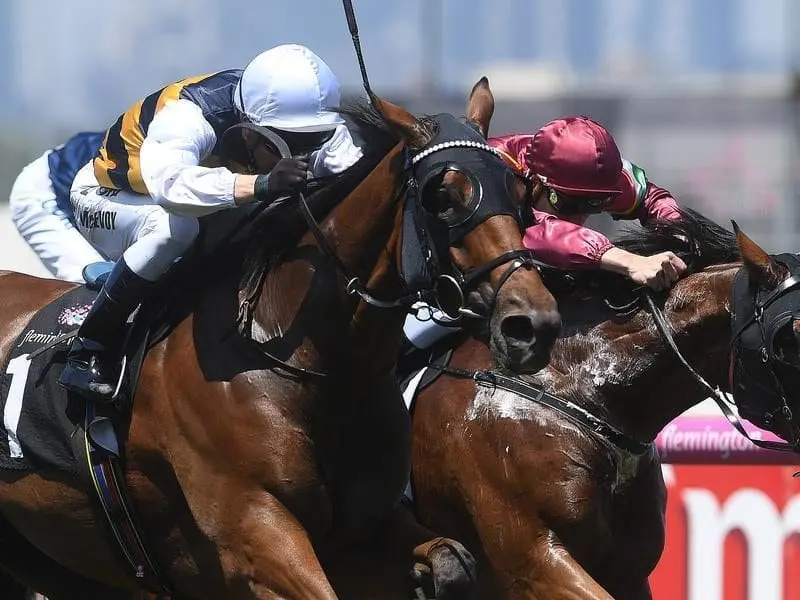 Import Fastnet Tempest confirmed a racing future in Australia with a Flemington win. Fastnet Tempest wins at Flemington.