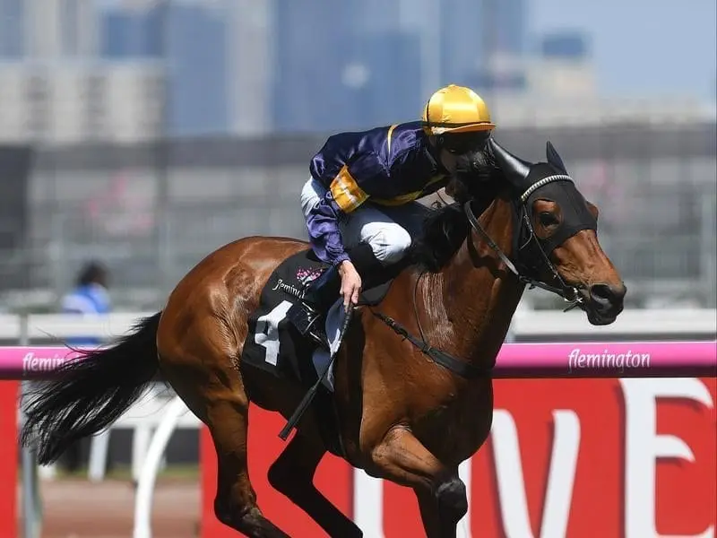 Patrick Moloney will ride in New Zealand for Mike Moroney, trainer of Group 3 winner Vengeur Masque. moloney