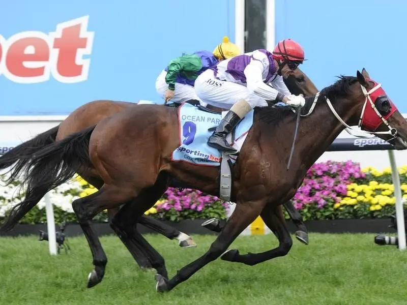 Ocean Park, the 2012 Cox Plate winner, has sired his first stakes winner with Ocean Jewel in Perth. ocean