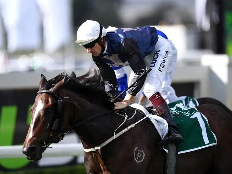 Salsonic takes the next step on a campaign aimed at the Villiers Stakes when he runs at Rosehill. salsonic