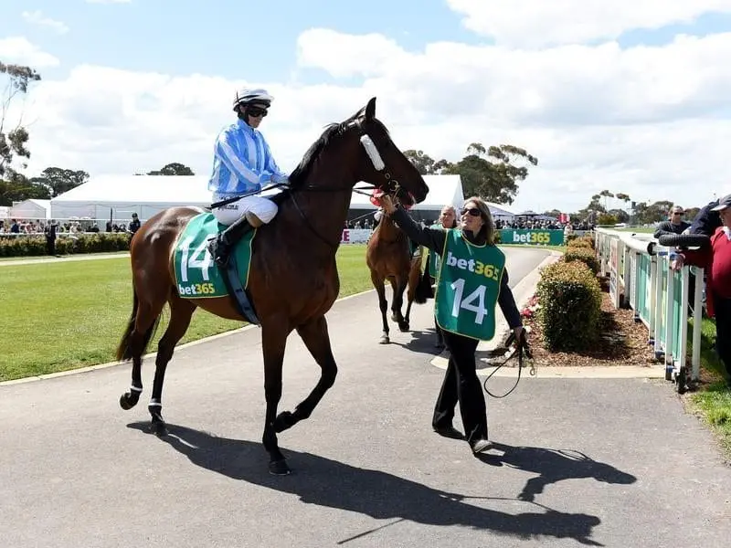 Dodging Bullets is entered for two feature races at the Sandown meeting. dodging bullets