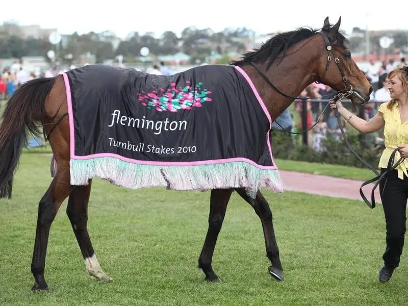 Lloyd Williams has entered three runners in the Sandown race named for his grand campaigner Zipping. zipping