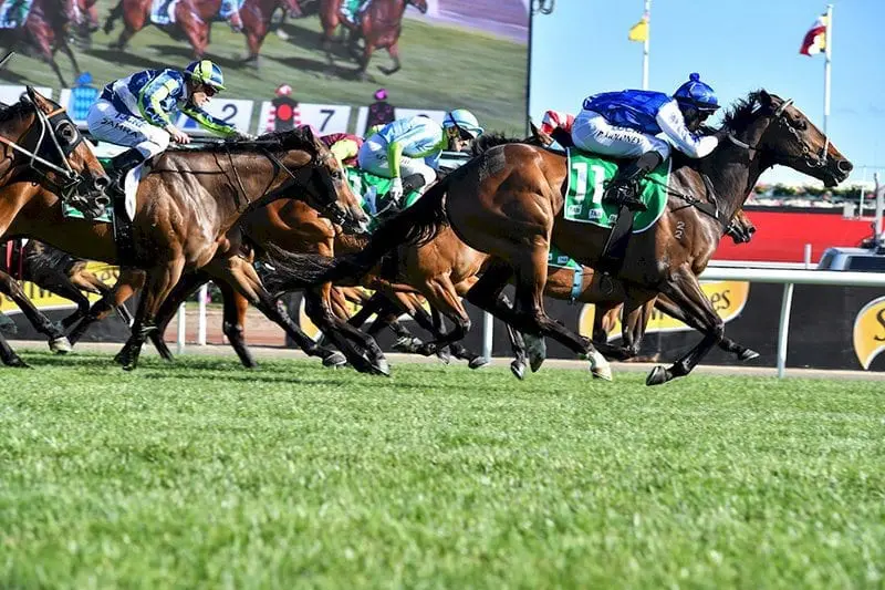 Flemington Melbourne Cup field