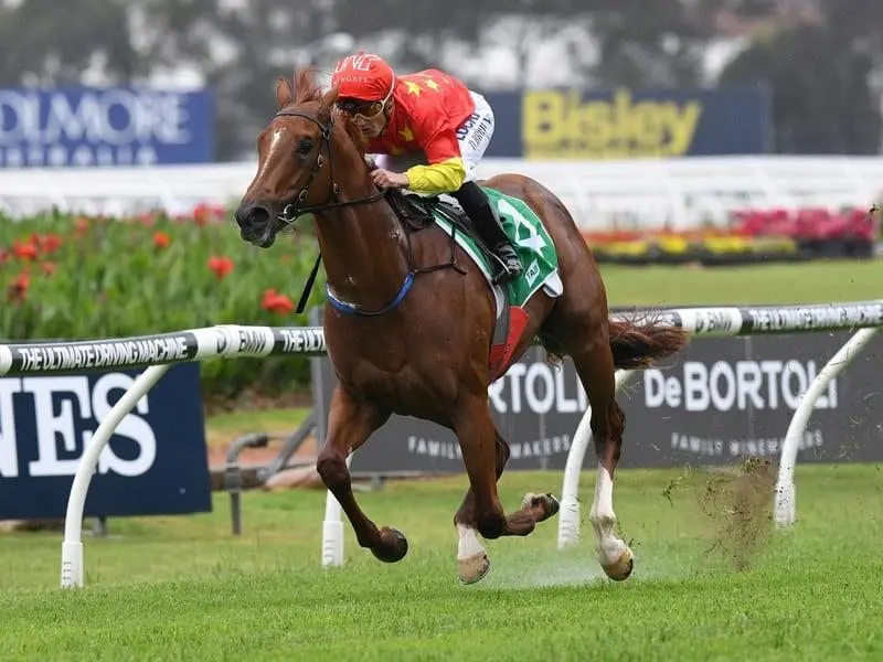 Peter and Paul Snowden have another raw talent to nurture with Neutrality winning on debut. Jockey Damian Browne rides Neutrality to win race 1.