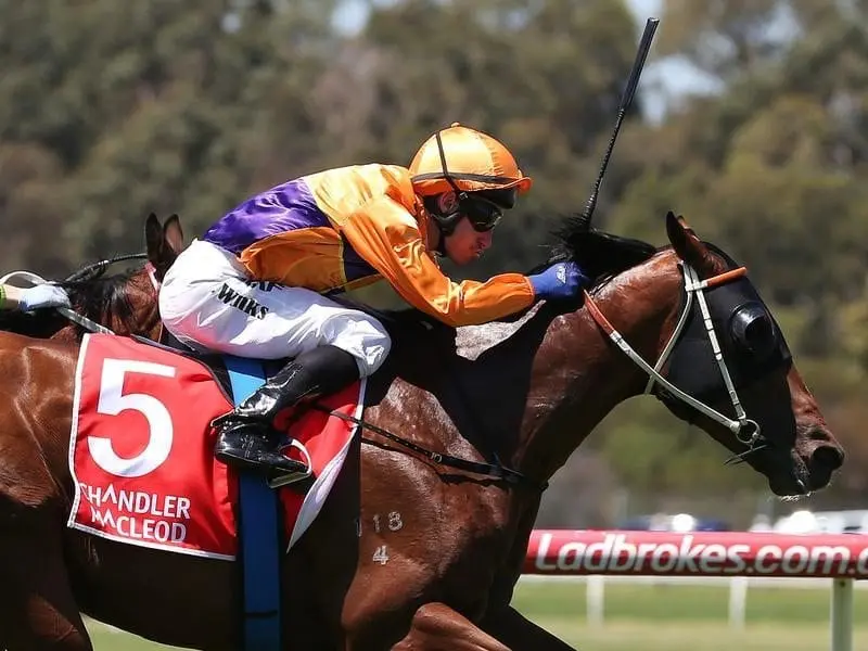Hawkes Racing says Echo Jet and Sinjaree are headed for stakes company after their wins at Sandown. James Winks rides Echo Jet to victory