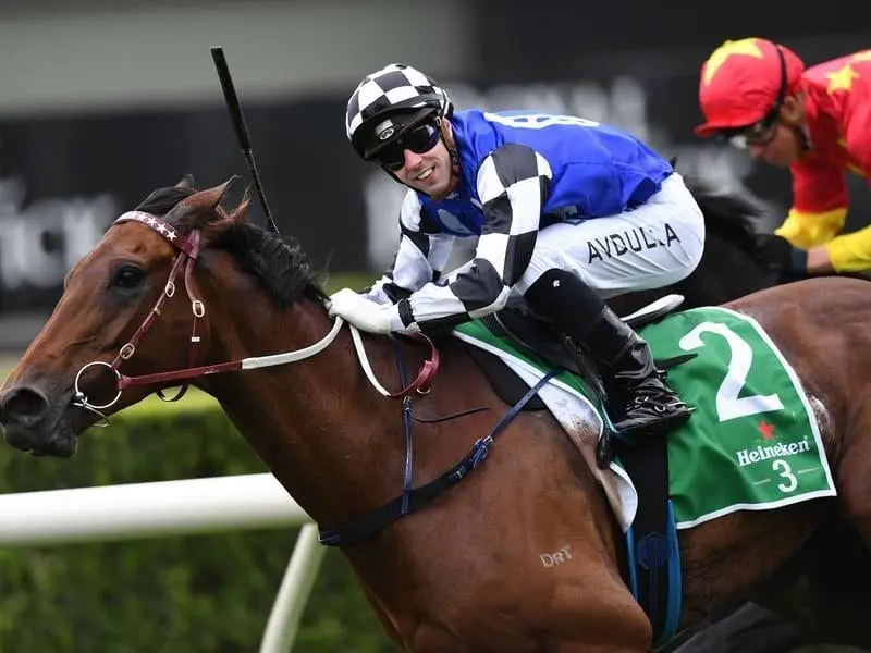 Big Duke will back up from his Melbourne Cup fourth in the Zipping Classic at Sandown. duke