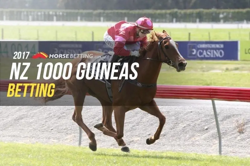 NZ 1000 Guineas betting NZ 1000 Guineas betting