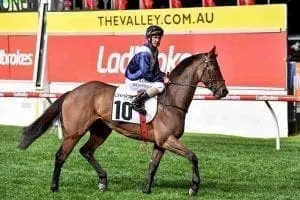 Viddora at Moonee Valley