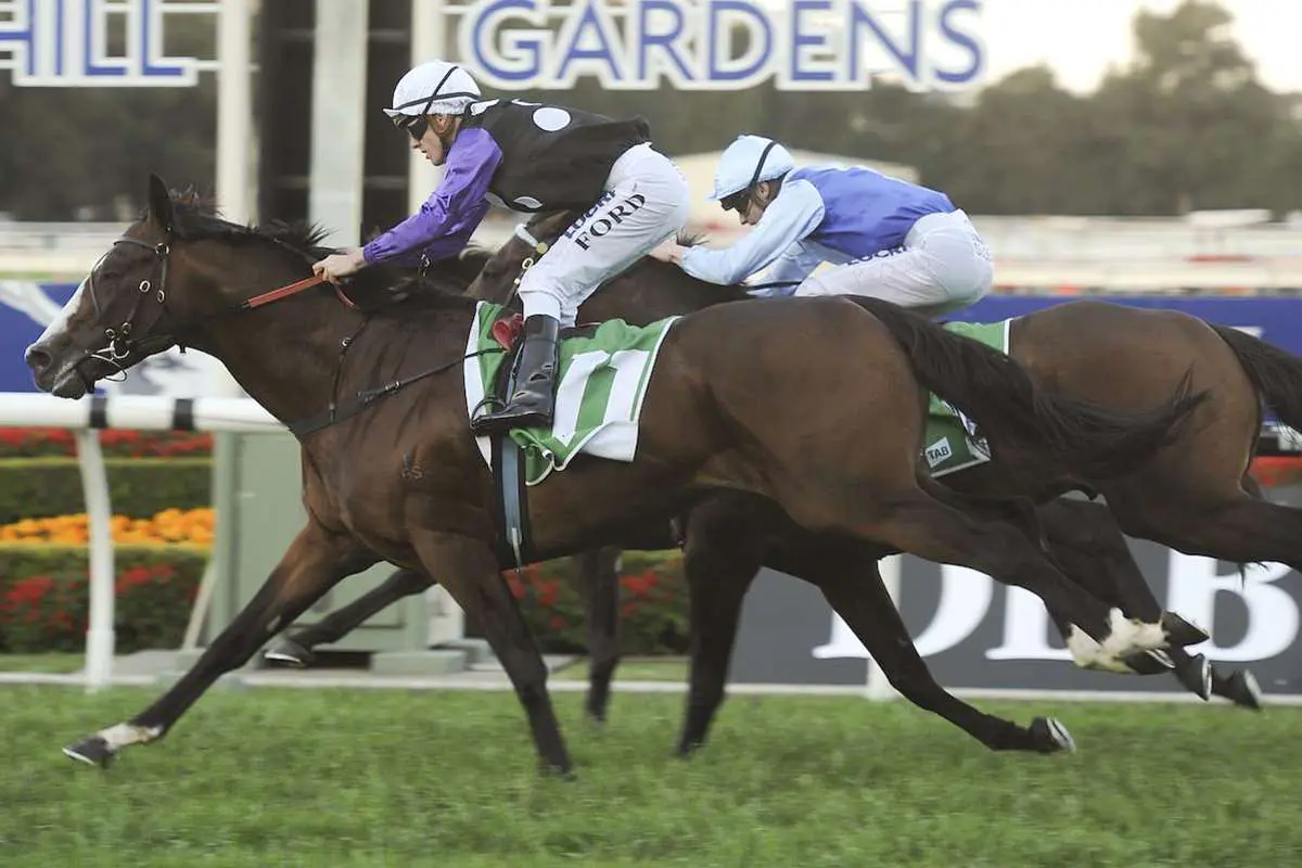 Prince Cheri winning at Rosehill in 2013