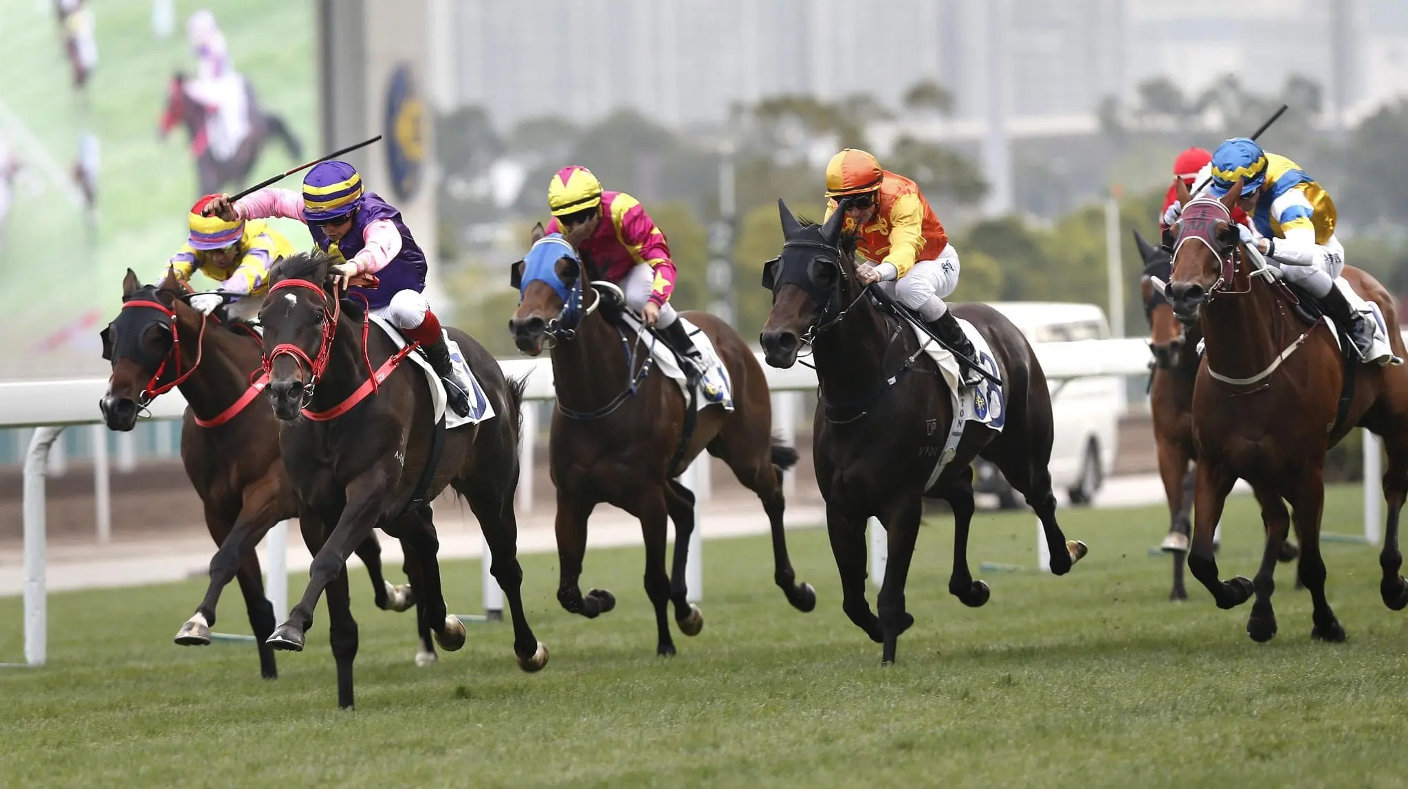 New Elegance wins the Class 3 Hcp at Sha Tin