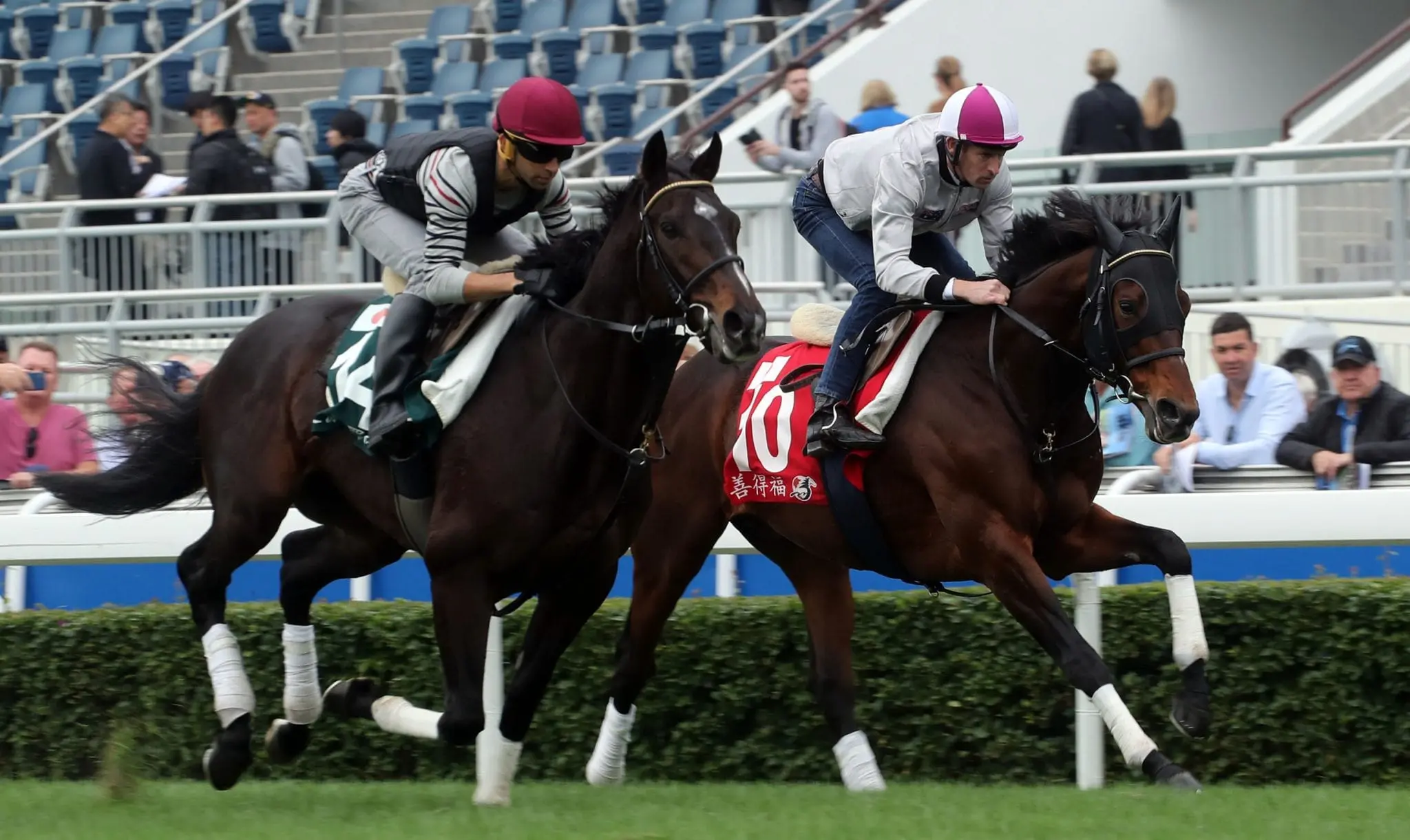 Hong Kong International Raceday contenders Tosen Basil & Staphanos