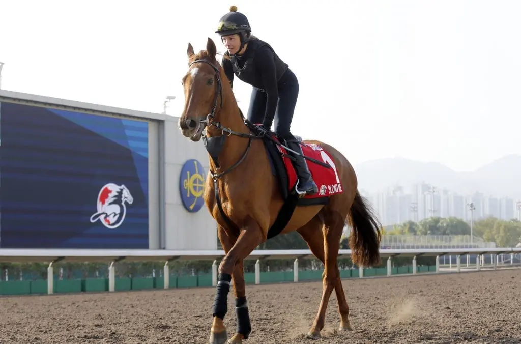 Blond Me Trackwork Friday morning