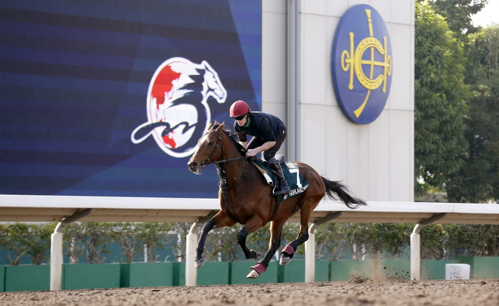 Highland Reel trackwork HK Friday morning