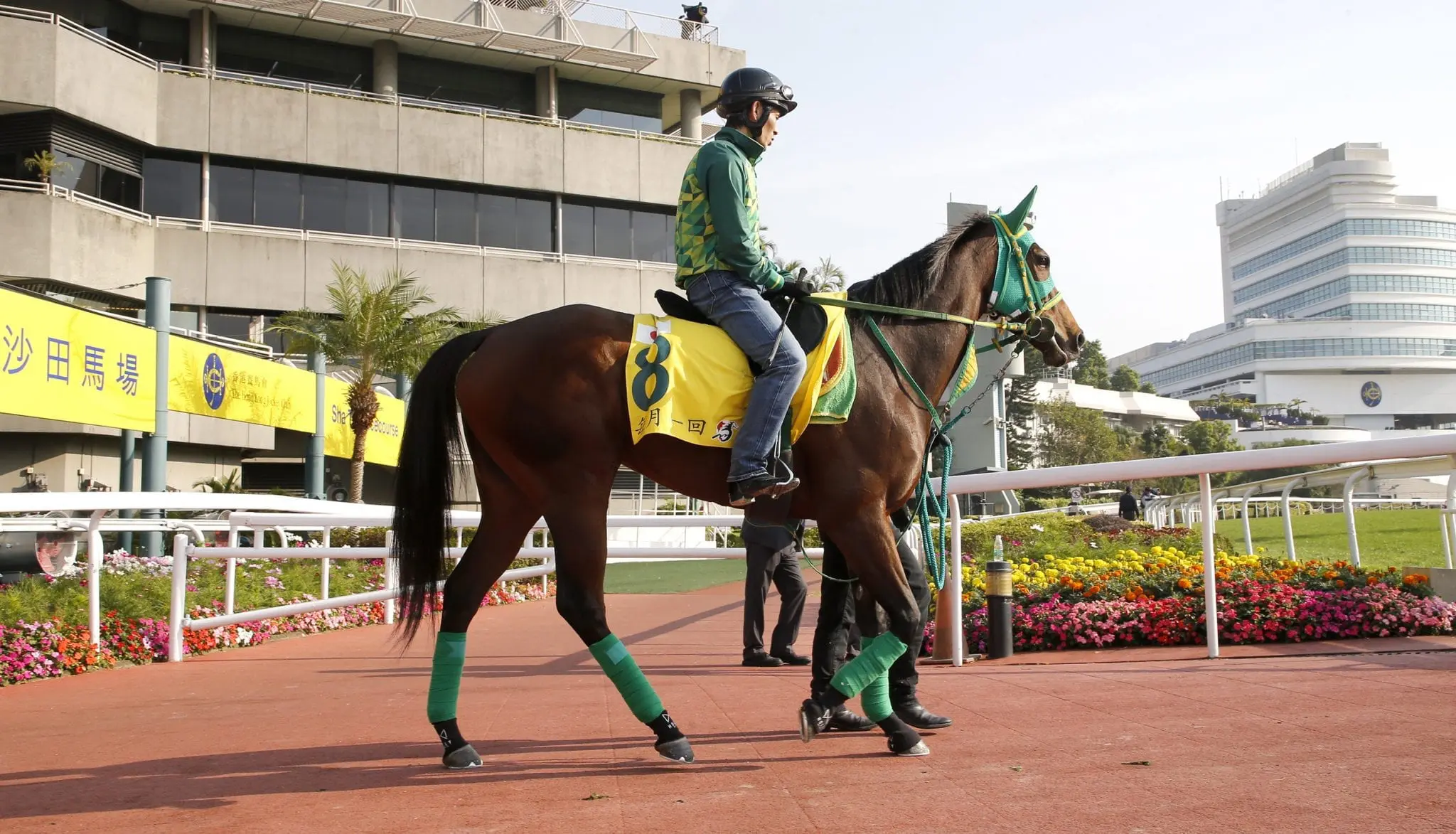 Once In A Moon trackwork HK Friday morning