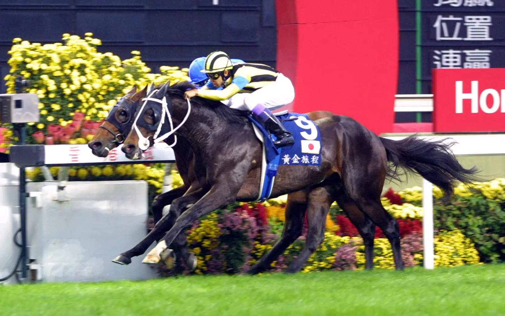 Stay Gold winning the 2001 Hong Kong Vase