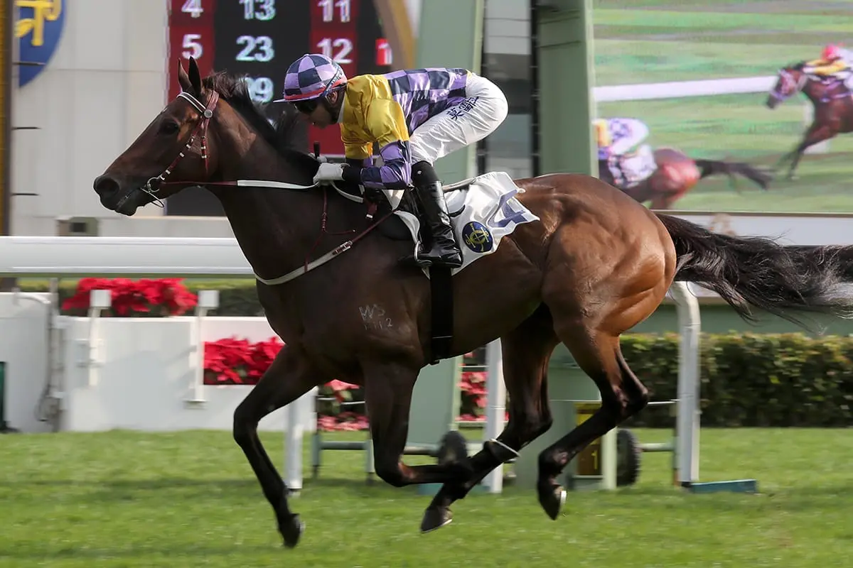 Easy Go Easy Win wins at local HK debut