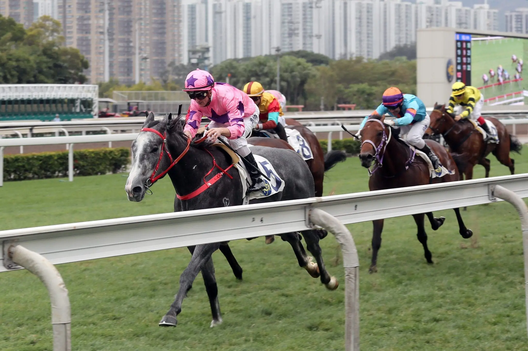 Hot King Prawn & Zac Purton winning