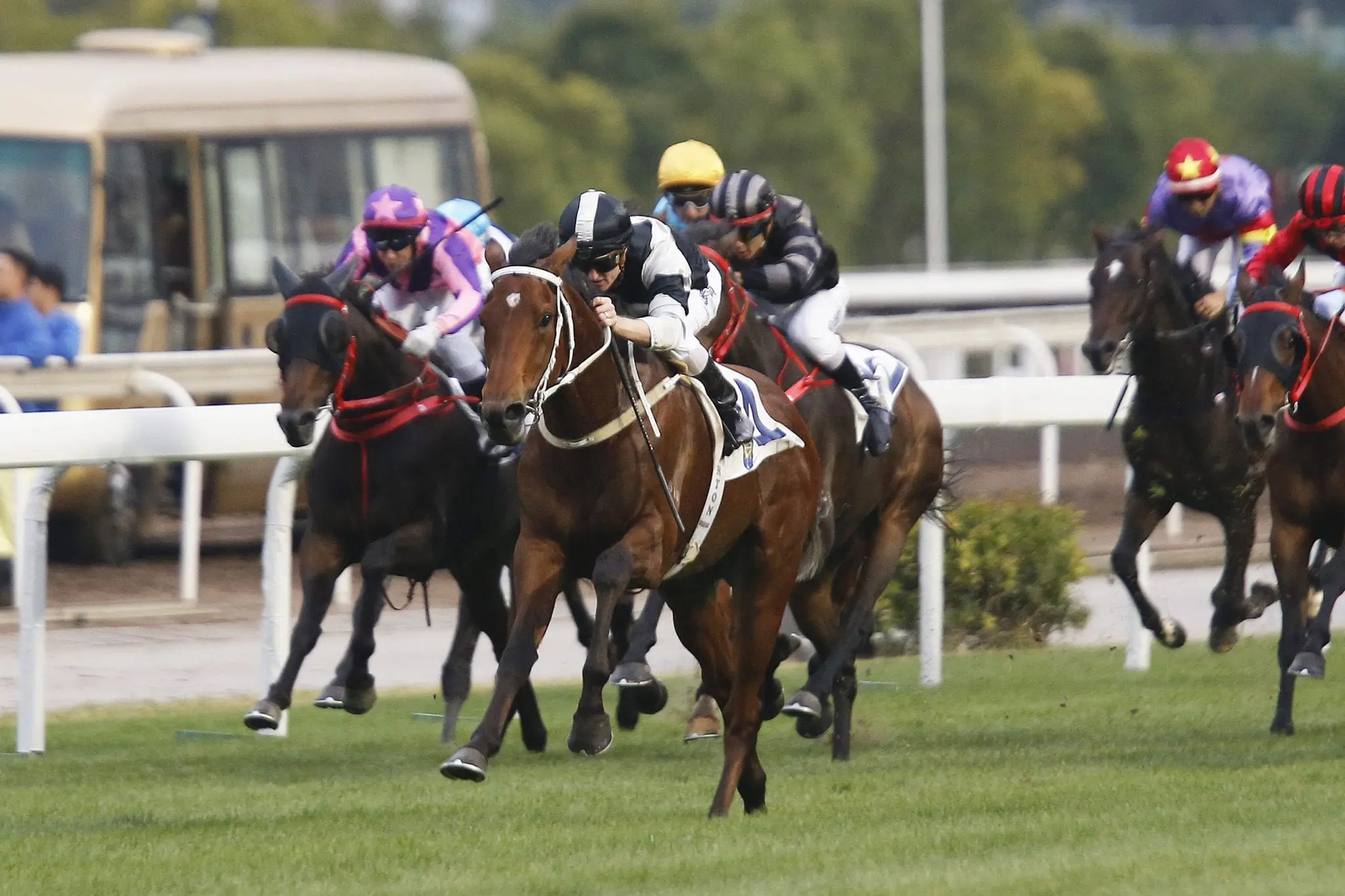 Exultant & Zac Purton