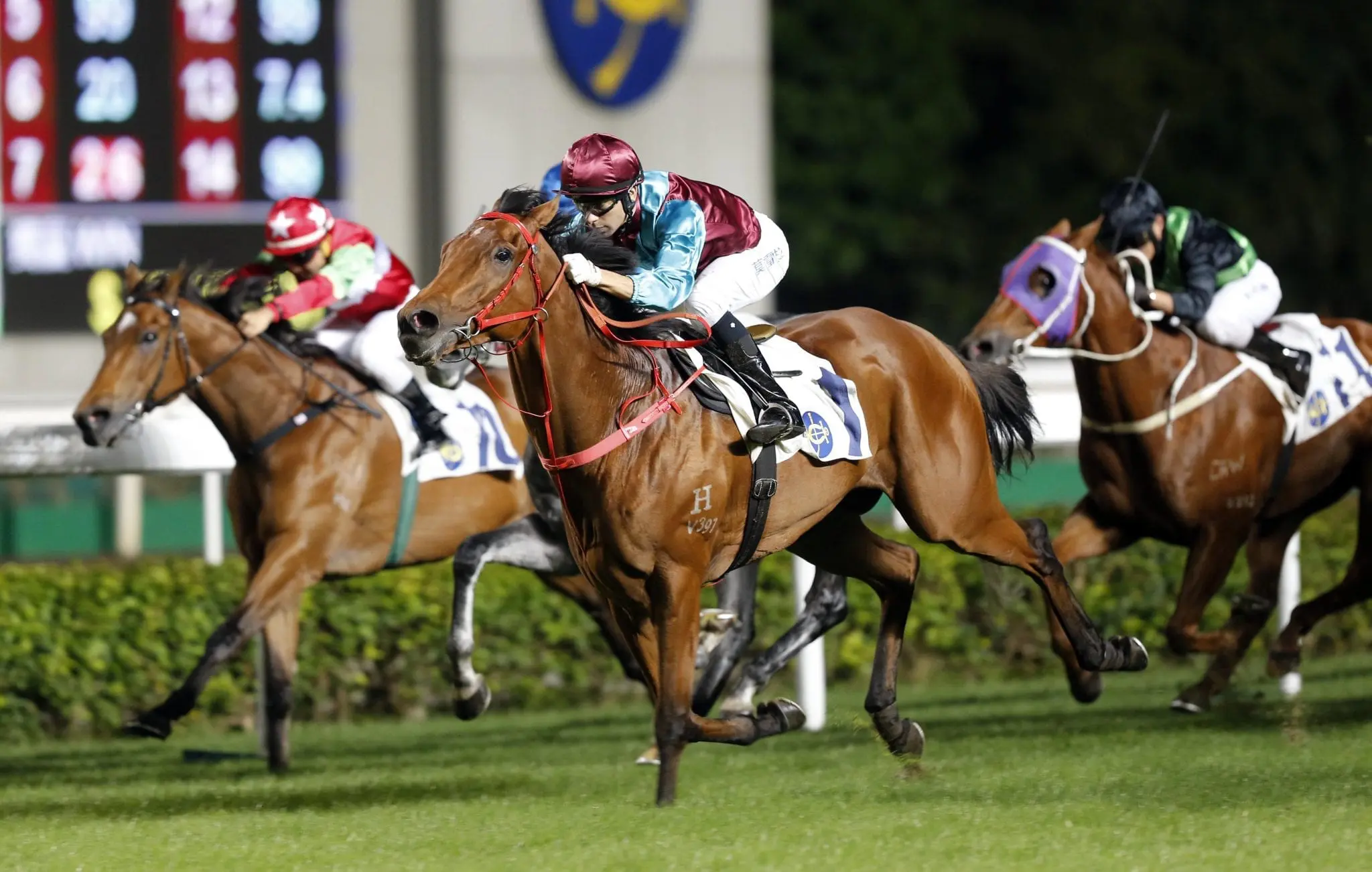 Beat The Clock winning on debut