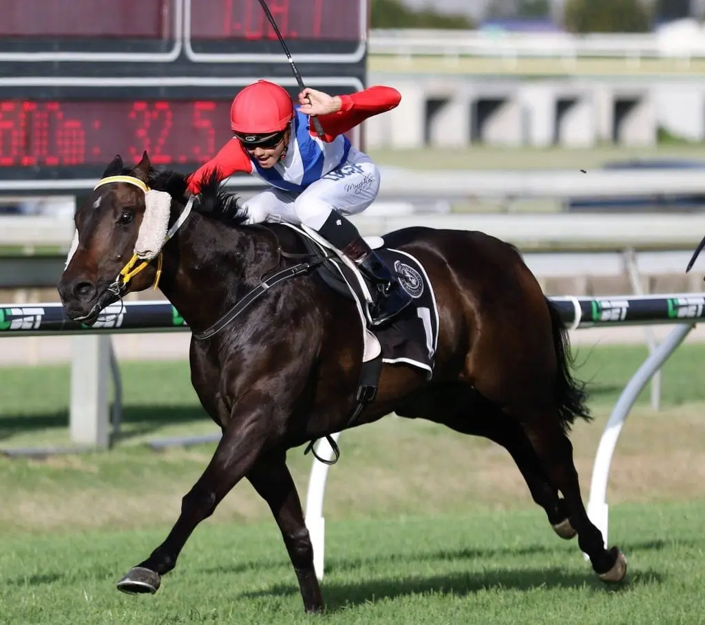 Amanaat winning at Doomben