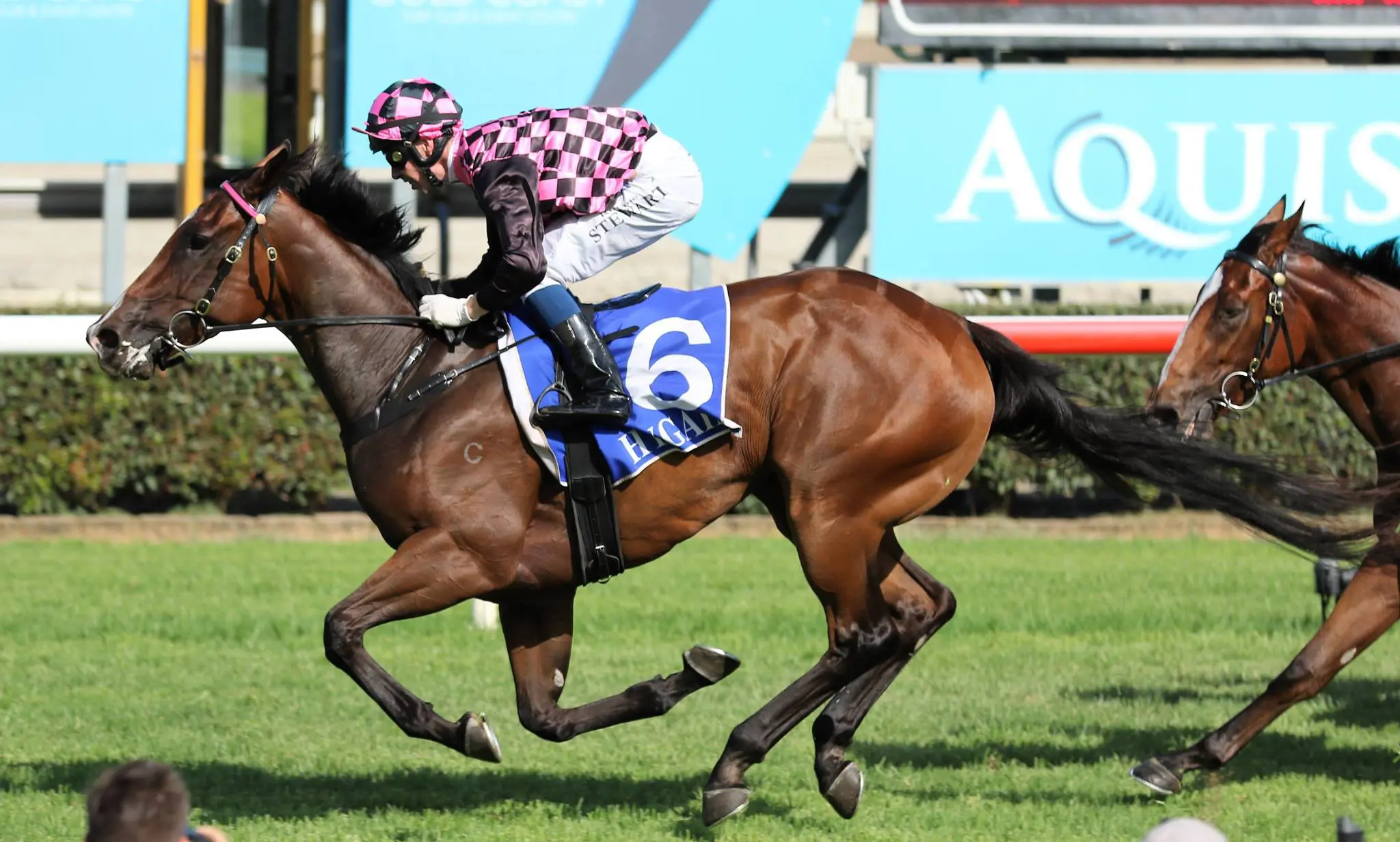 Femme Fireball winning at the Gold Coast