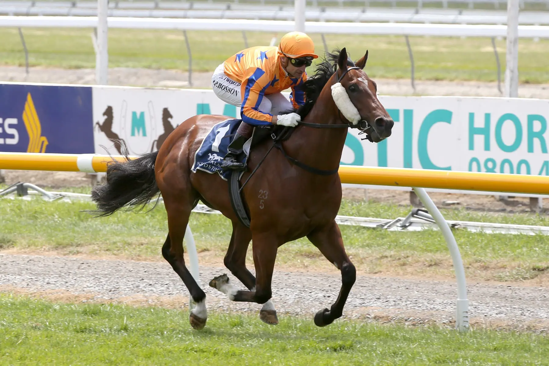 Te Akau racing 2yo Al Hasa