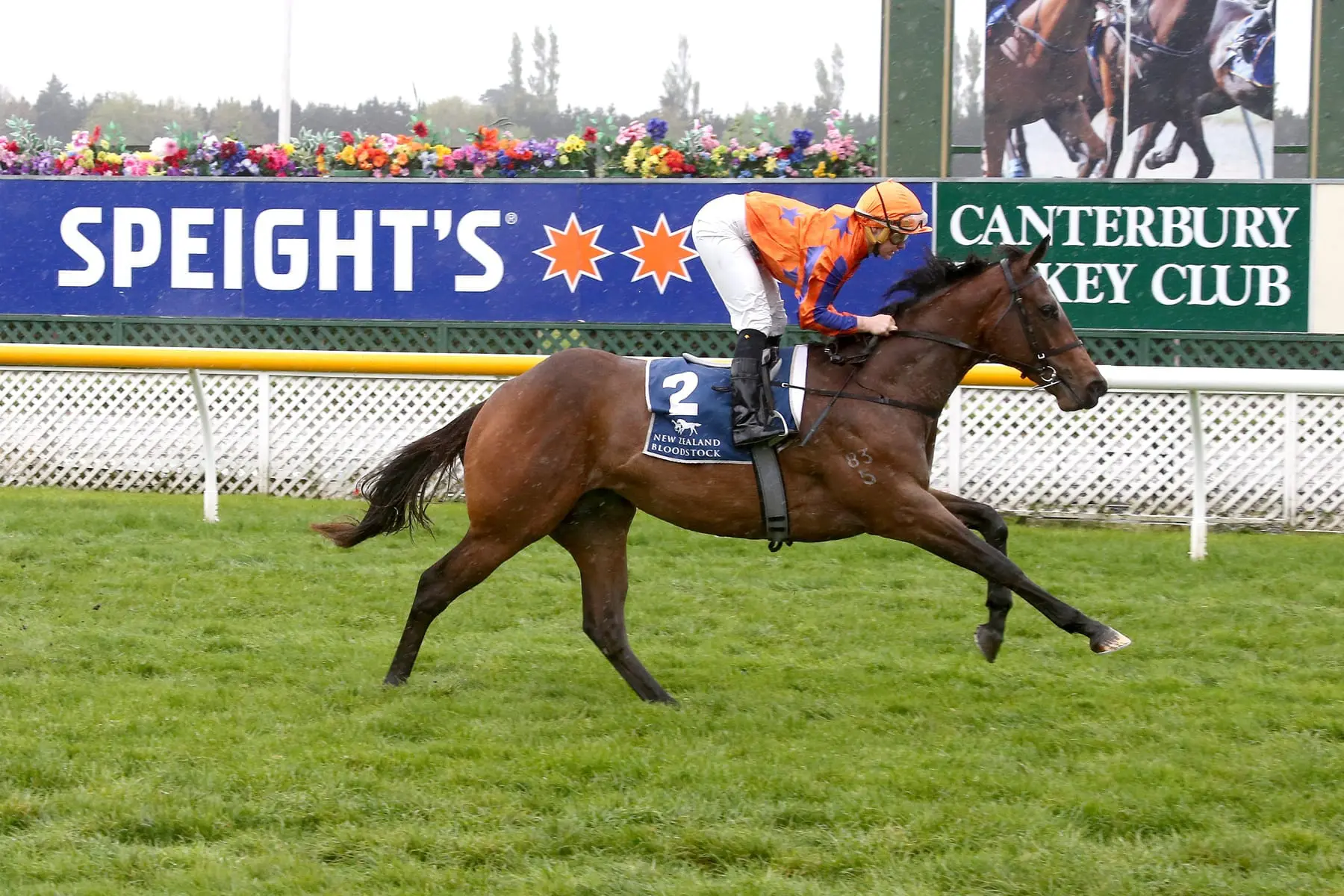 Te Akau 2yo Avantage