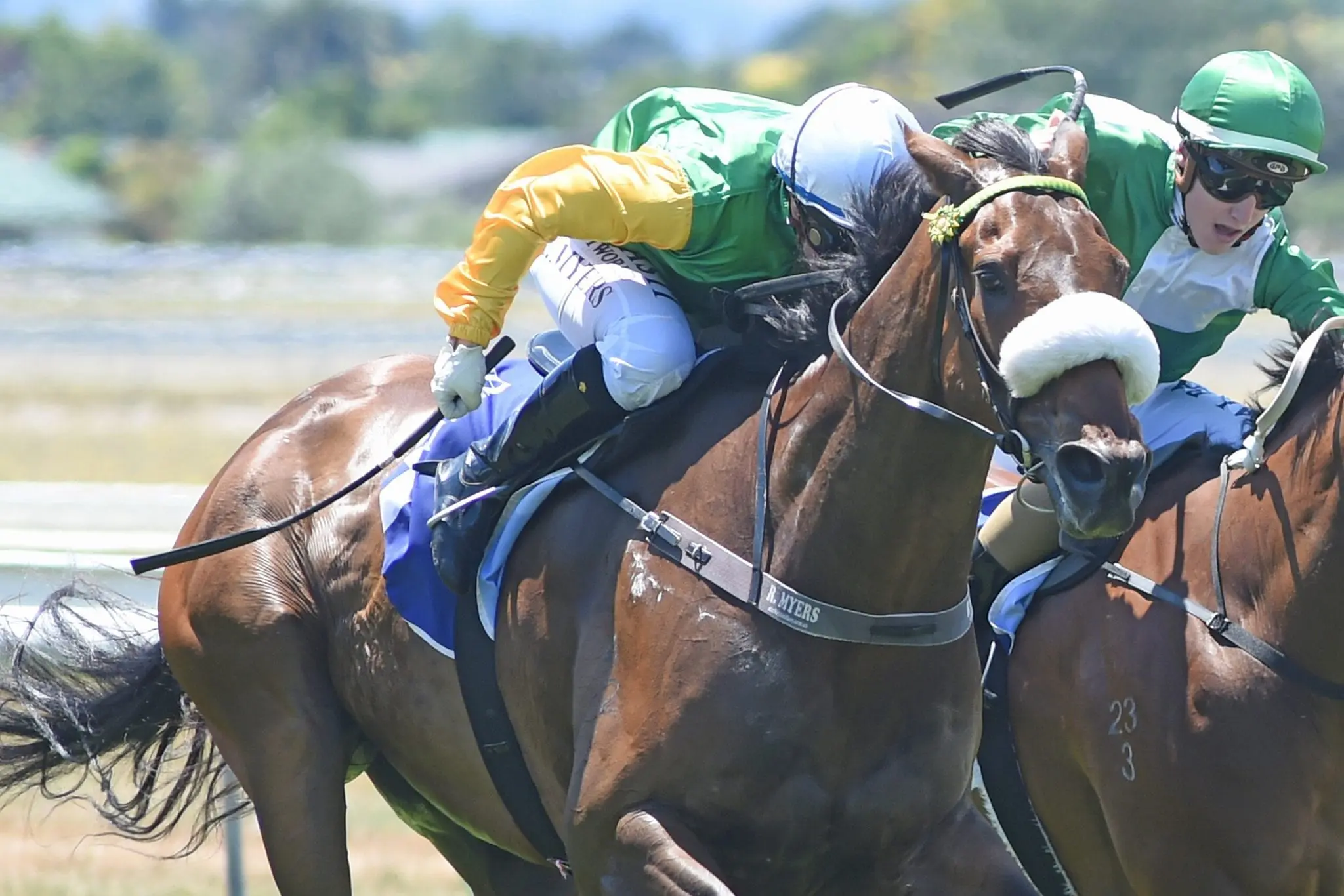 Beefeater winning at Awapuni