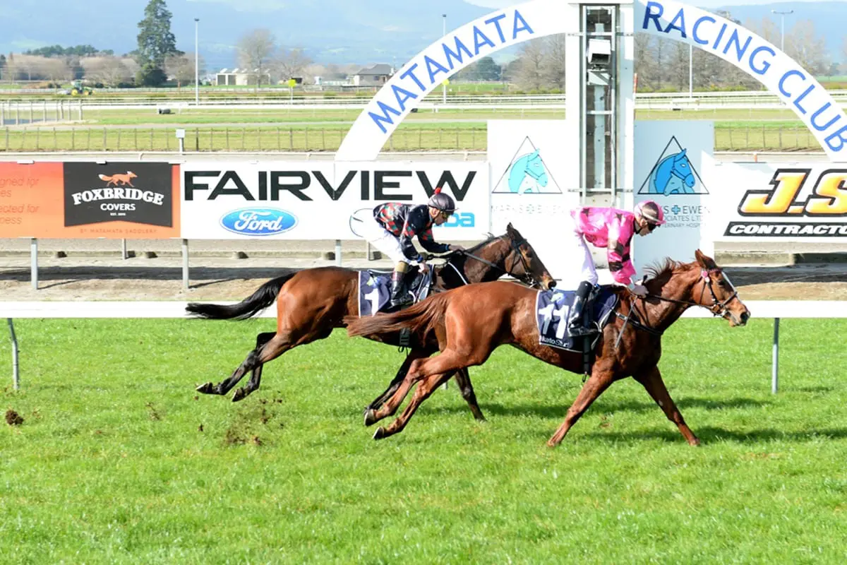 Brookbars winning at Matamata