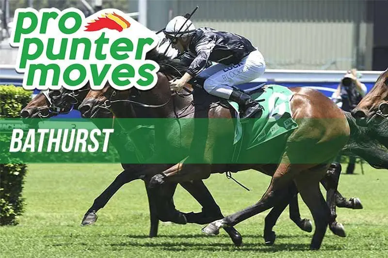 Bathurst Market Movers