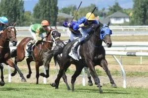 Clarify winning the G3 Manawatu Cup