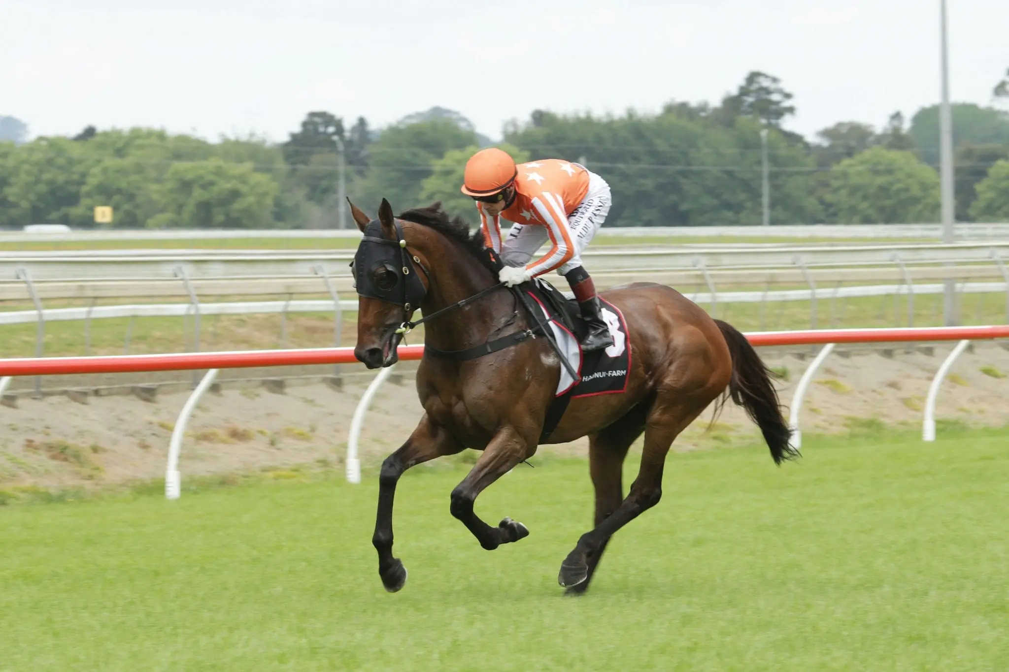 Caprikosa winning at Ellerslie