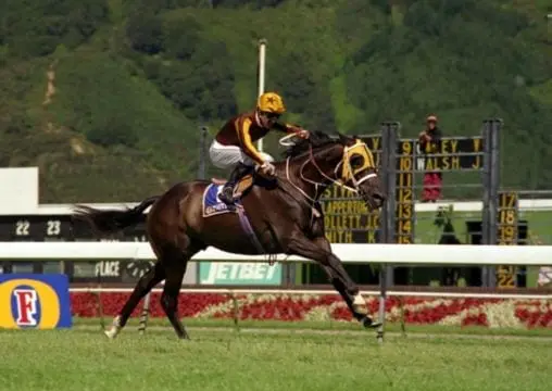 Castletown cruising to his second Wellington Cup