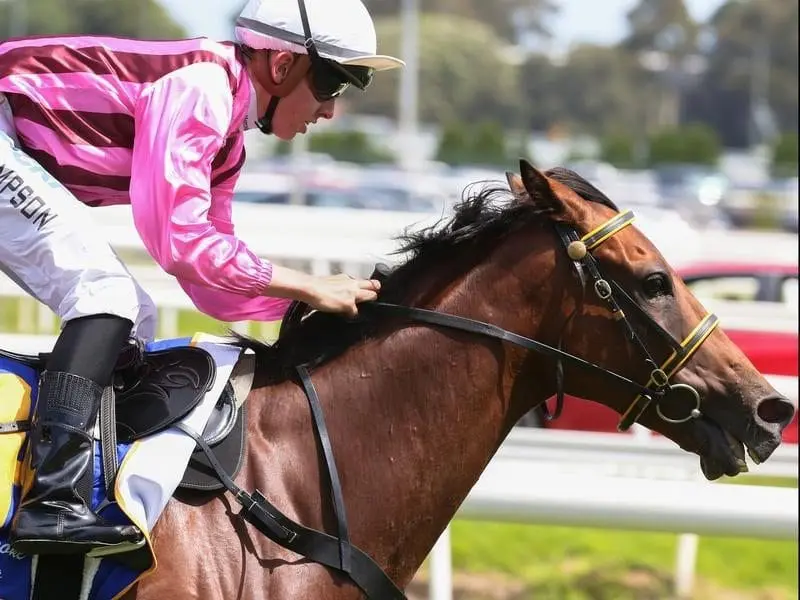 After four years without a win, Shoreham has broken through at Caulfield. Shoreham winning at Caulfield.