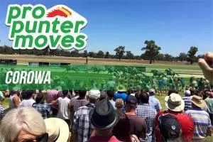 Corowa Pro Punter Movers Corowa market movers for Tuesday, June 12