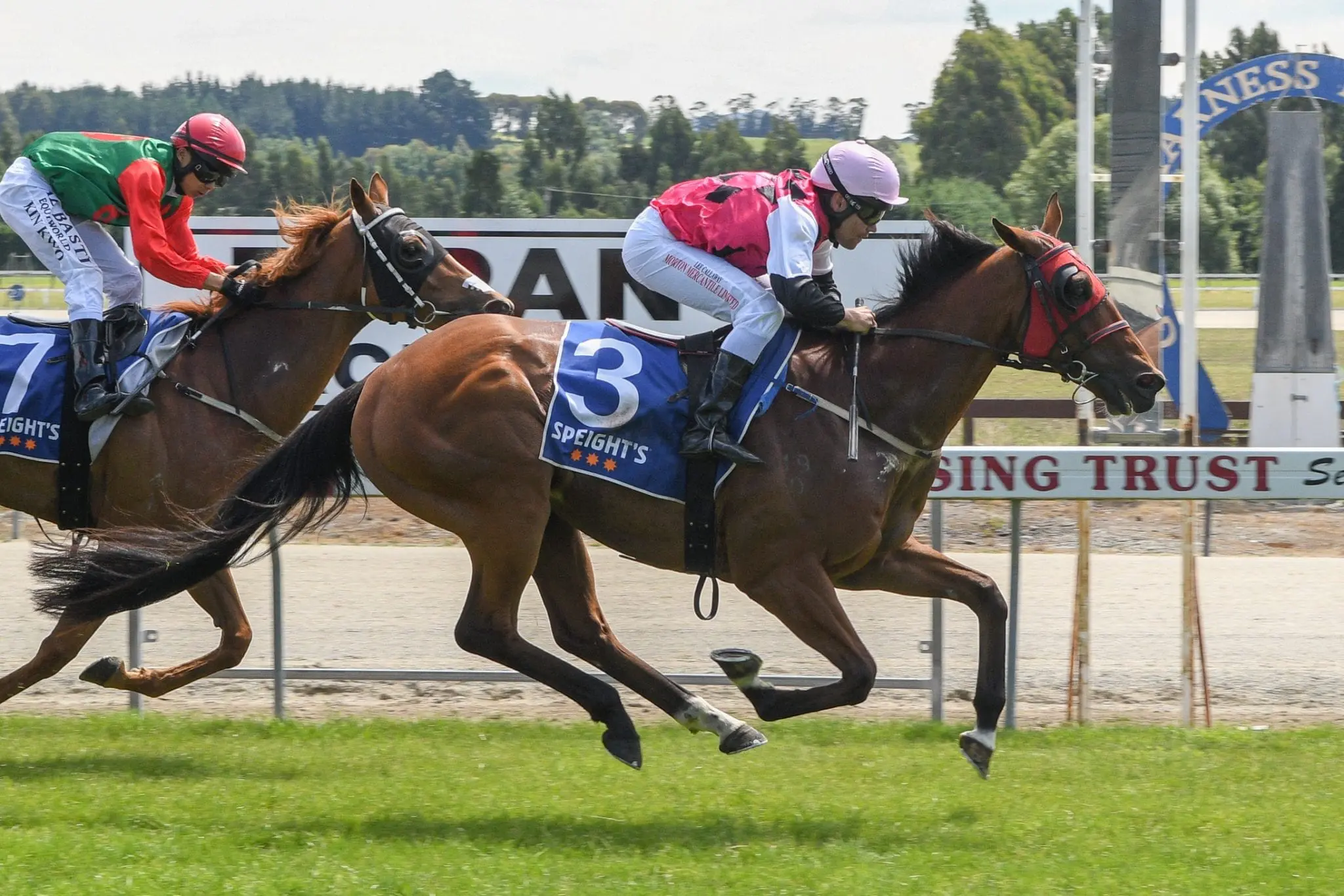 He Ain’t Heavy winning the 2017 Tapanui Cup