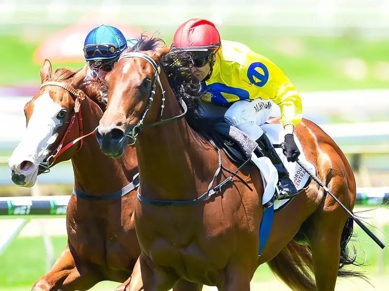 Blue Book ridden by Michael Rodd (r) wins race 1 QTIS Handicap.