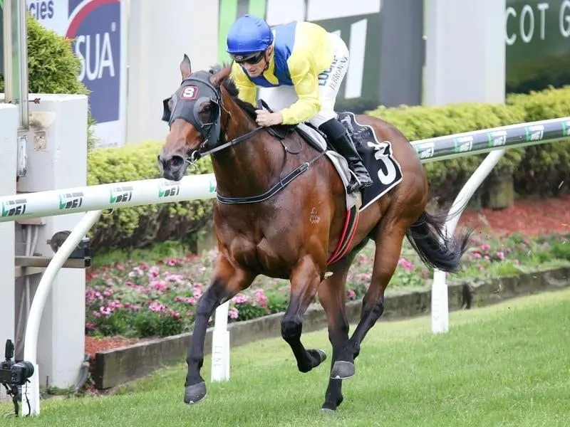 Pretty Fast has earned a valuable black-type win in the Listed Mode Plate at Doomben. Jockey Damian Browne rides Pretty Fast to win race 5.
