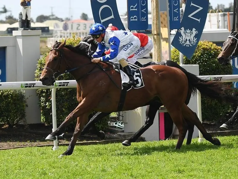 Bribie Handicap runner Havasay.