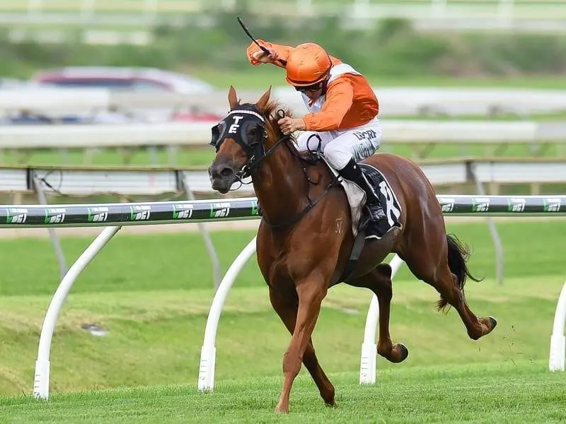 Sylpheed ridden by Nozi Tomizawa wins race 7