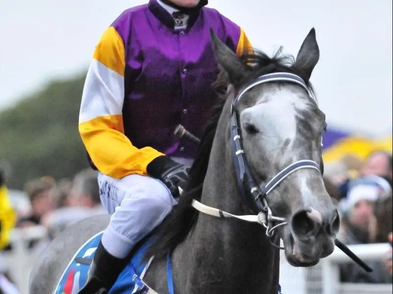 Steel Zip will have a new rider at Doomben with apprentice Hannah English to give him weight relief. zip