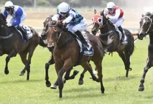Endowment winning at Whangarei