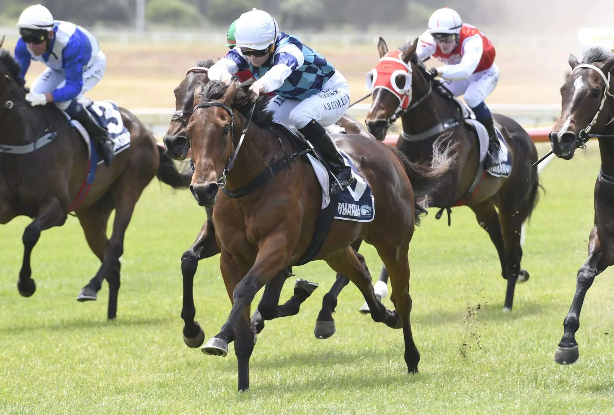 Endowment winning at Whangarei